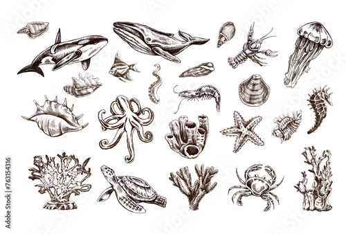 Hand-drawn undersea Animals, creatures set. Vector outline style illustration. Vintage sketch engraving illustration isolated on white background.