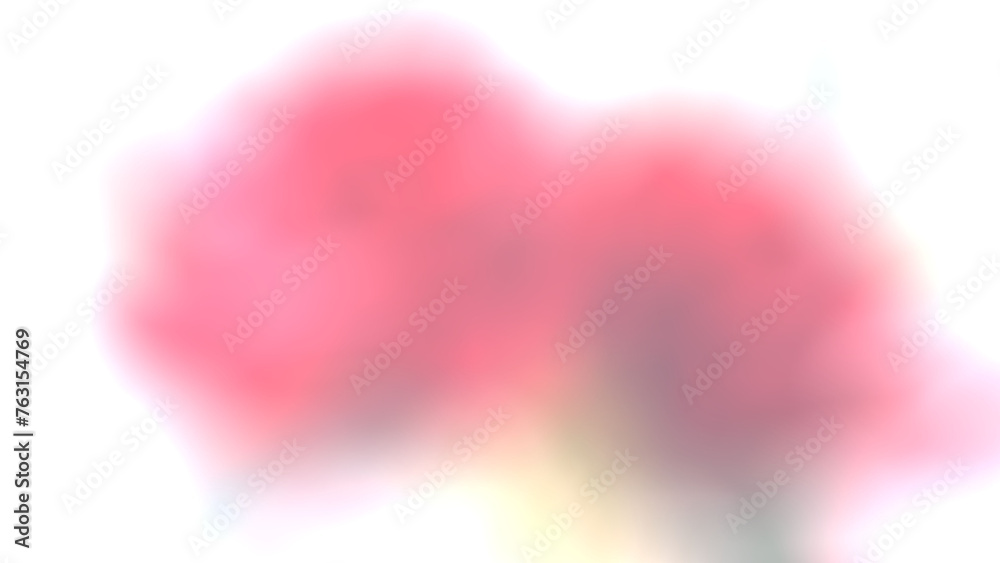 Abstract background image of blooming plastic rose flower gradient white pink gray black light blur leaf valentine nature green blossom romantic love background closeup celebration bouquet flower Abstract background image of blooming plastic rose flower gradient white pink gray black light blur leaf valentine nature green blossom romantic love background closeup celebration bouquet flower