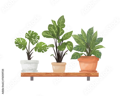 House plant in a pot on shelf.