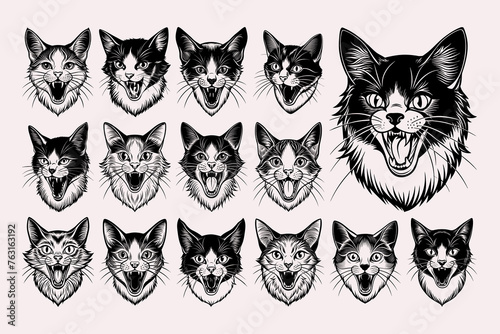 Cute meowing turkish van cat head tshirt design bundle