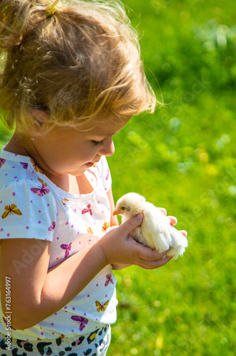 A child plays with a chicken. Selective focus.