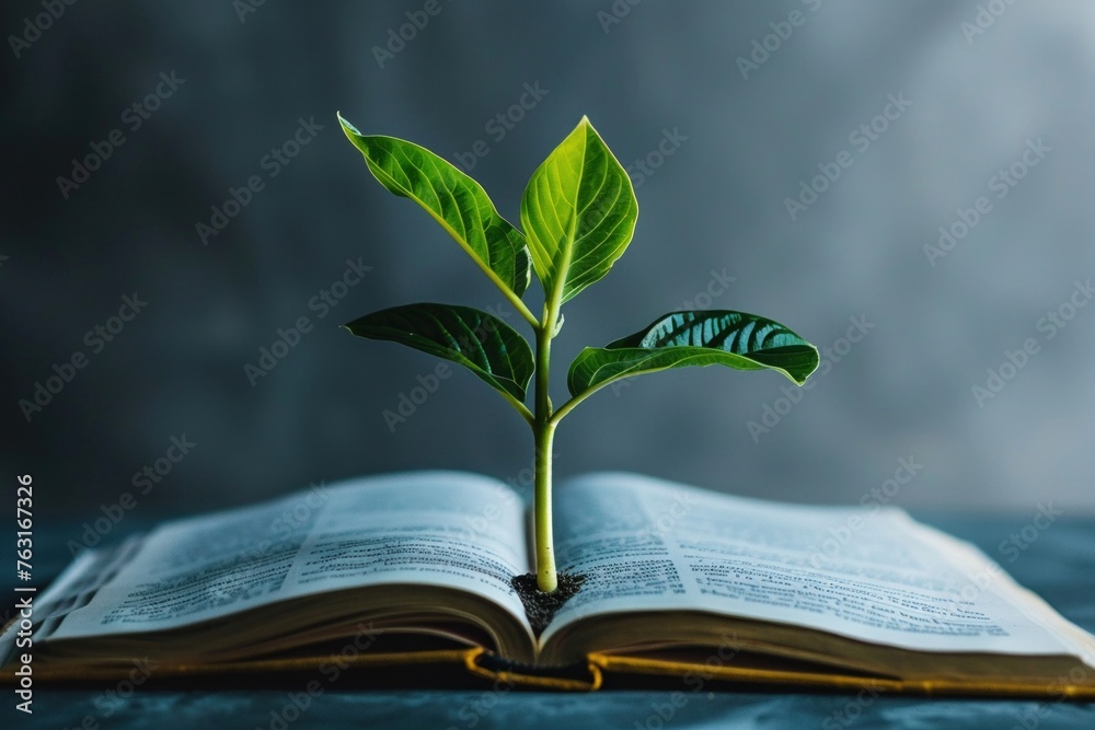 A Conceptual image of a plant growing from an open book A Conceptual image of a plant growing from an open book