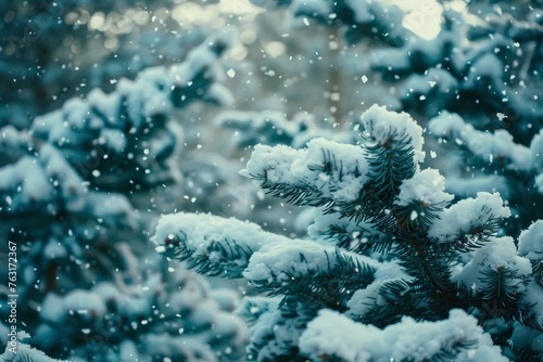 A detailed view of snow clinging to the branches of a pine tree, showcasing the winter beauty of the forest