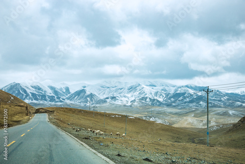 Gannan Tibetan Autonomous Prefecture, Gansu Province-Grassland under the snow-capped mountains photo