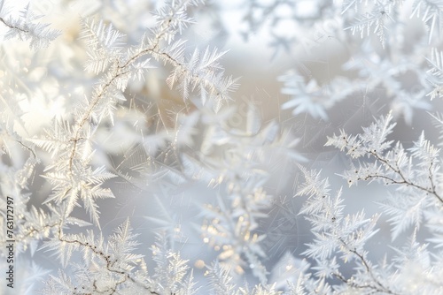 Detailed view of frost patterns on a window, with blurred trees in the background