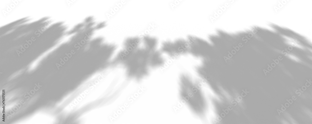 3D Render Plant And Tree Shadow