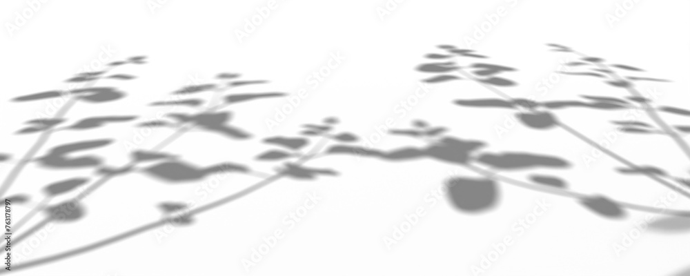 Fototapeta premium Abstract Gray Plant Shadows on White Background
