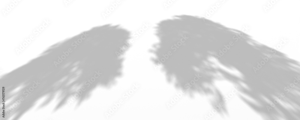 3D Render Plant And Tree Shadow