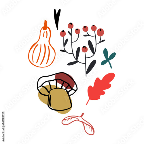 Autumn design in flat style, natural fall elements. Hand-drawn mushroom, 
physalis, leaves and berries clipart. Isolated vector illustration on white background for postcards, textiles, websites