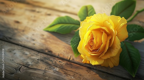 Single Yellow Rose with Red Tips with Green Leave