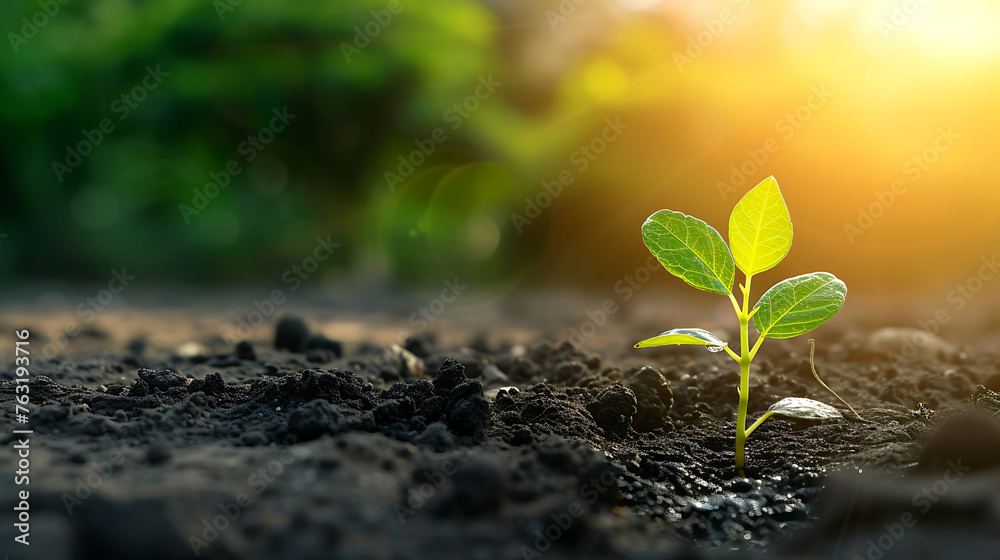 Climate change from drought to green growth Climate change from drought to green growth