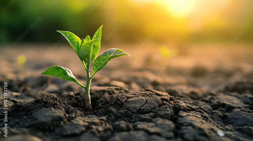 Climate change from drought to green growth Climate change from drought to green growth