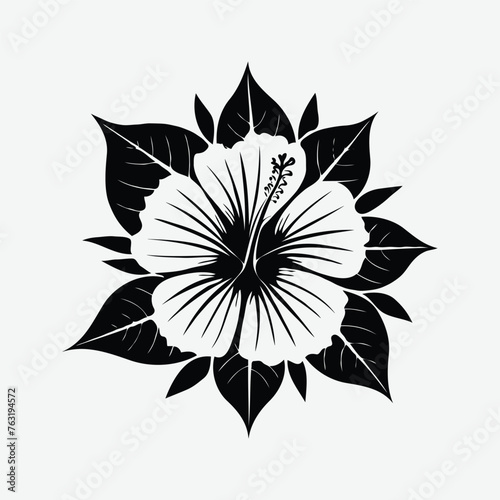 vector hibiscus flower illustration Silhouette isolated on white Background