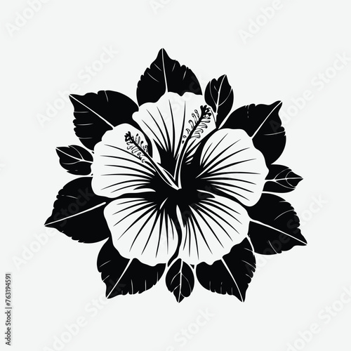 vector hibiscus flower illustration Silhouette isolated on white Background
