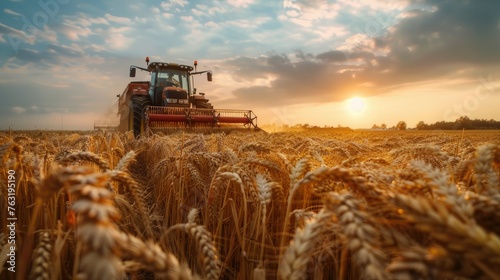 A tractor harvesting wheat at sunset, followed by a working combine, creating an atmosphere of farm life and agricultural activity.
