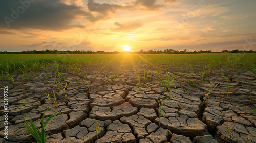 Land with dry and cracked ground and green field .Desert, Global warming background