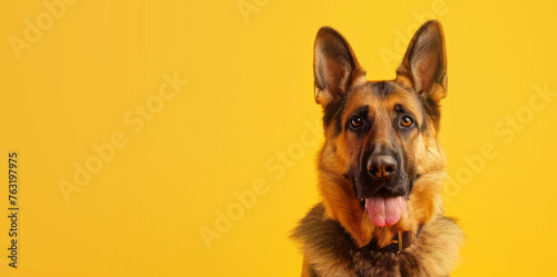 german shepherd dog banner on yellow background, 