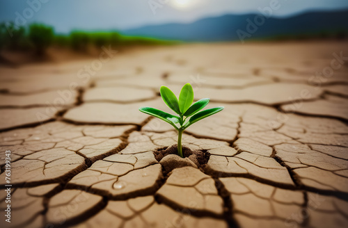 A young plant makes its way through into the dry, lifeless earth. a symbol of life and hope. the concept of Earth Day.