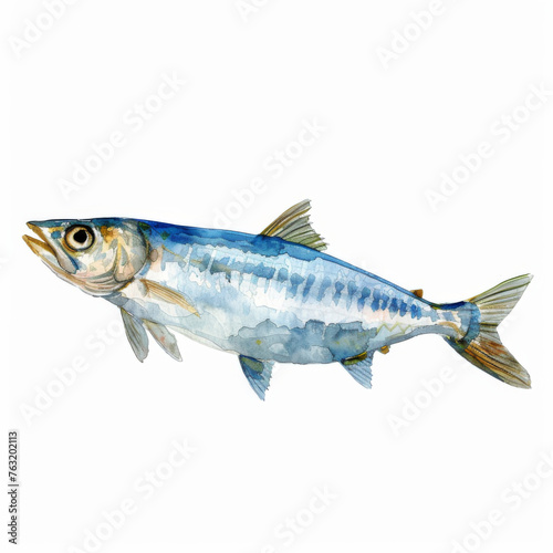 A detailed watercolor painting of a single mackerel fish isolated on white background, showcasing its natural patterns.