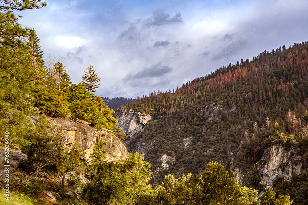 Yosemite national park. View of Yosemite valley in Yosemite National Park, California, USA. Yosemite national park. View of Yosemite valley in Yosemite National Park, California, USA.