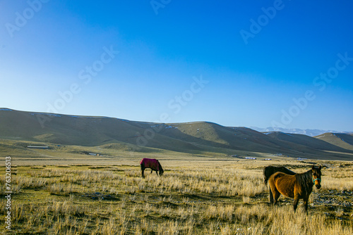 Aba Qiang and Tibetan Autonomous Prefecture, Sichuan Province - mountains and grassland scenery under the blue sky © 江乐 陈