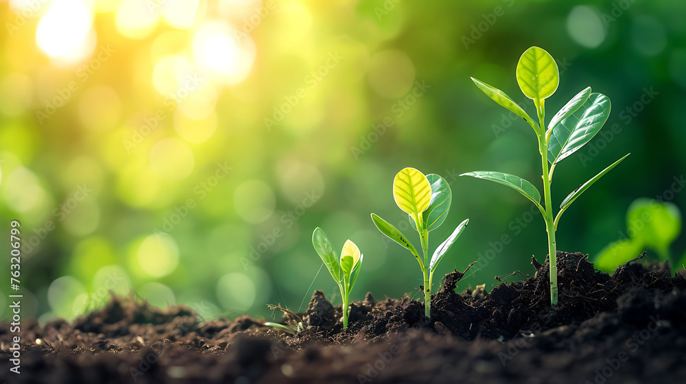 Saving environment, save clean planet, ecology concept. World Earth Day. Young plants growing at sunlight Saving environment, save clean planet, ecology concept. World Earth Day. Young plants growing at sunlight
