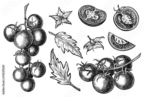 Tomato Vector drawing. Hand drawn illustrations set with Branch of vegetables, flowers and leaves in line art style. Hand drawn bundle of plants painted by black inks for food product label or icon