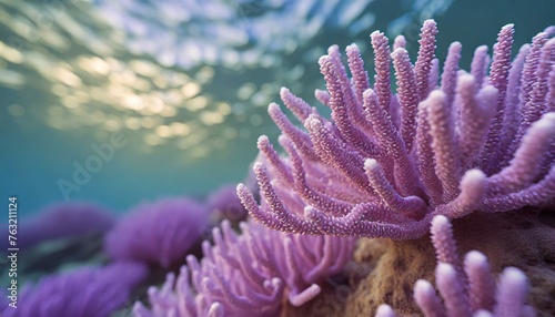 Macro closeup of beautiful natural purple corals 3D