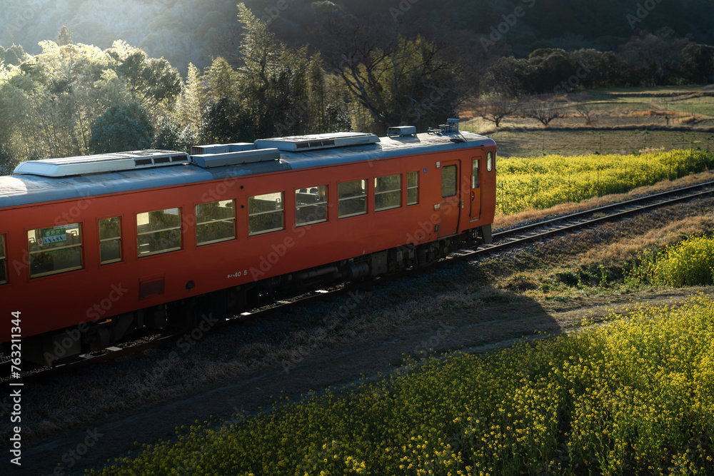 石神の菜の花畑と小湊鉄道・千葉県