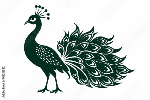 Peacock vector silhouette white background