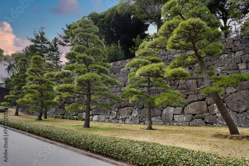 Photography Imperial Gardens in Tokyo, Japan.
