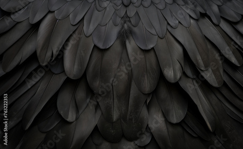 Feathered Abstract Wallpaper