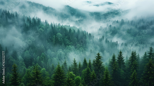 Misty landscape with fir forest in hipster vintage retro style © standret