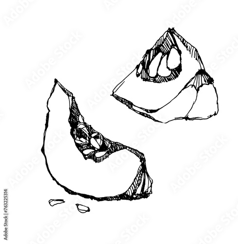 Drawing sketch of punpkine slice