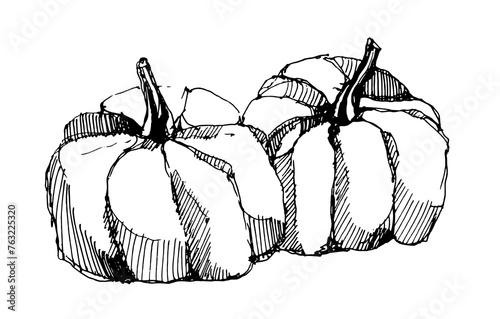 Sketch drawing of two pumpkins