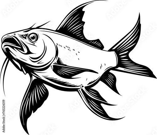 Catfish Vector Illustration