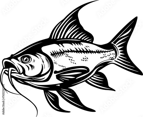 Catfish Vector Illustration