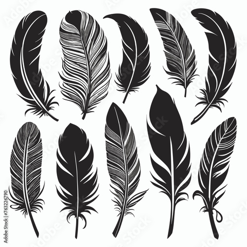 Black and white illustration of ten stylized feathers on a light background, showcasing delicate patterns and diverse shapes in a minimalist design.