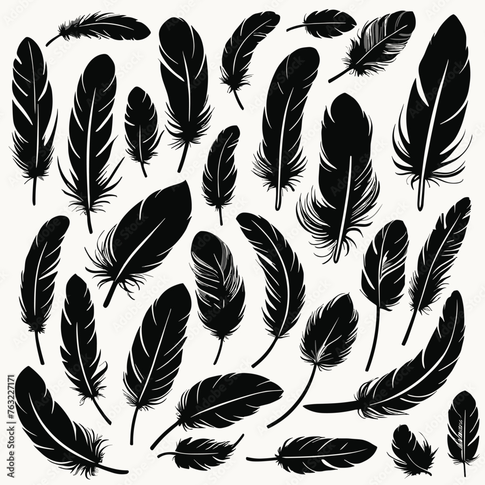 Obraz premium Collection of various black feathers in different shapes and sizes on a white background.