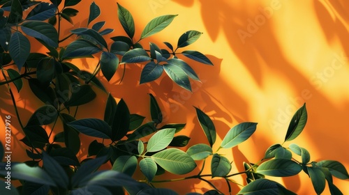Silhouetted leaves against a fiery sunset