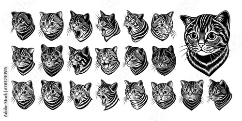 Collection of side view scottish fold cat head illustration design