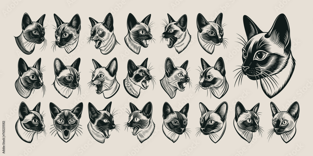 Collection of cute meowing siamese cat head in side view design Collection of cute meowing siamese cat head in side view design