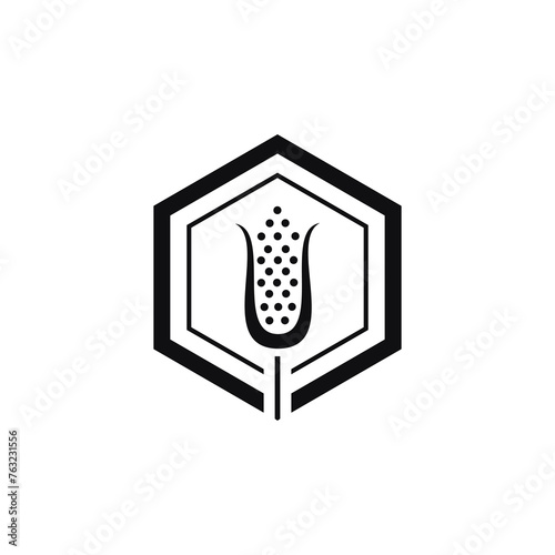 Modern agriculture logo design template. Hexagon shape with corn plants