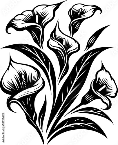 Beautifull Calla lily flower in black and white. Vector illustration.