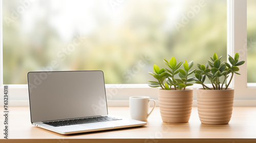 Cozy Workstation with Laptop and Two Plants © heroimage.io