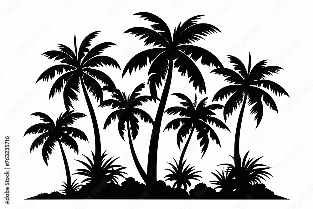 tropical palm trees with leaves, mature and young plants, black silhouettes isolated on white background 