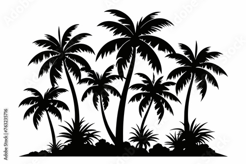 tropical palm trees with leaves  mature and young plants  black silhouettes isolated on white background 