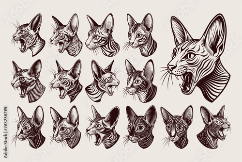 Flat detailed side view meowing oriental shorthair cat head illustration set