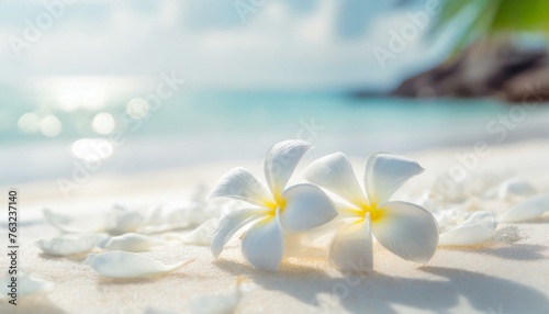 常夏のビーチとトロピカルな花 © Bambi and Sunny