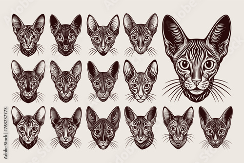 Portrait of oriental shorthair cat head silhouette design set